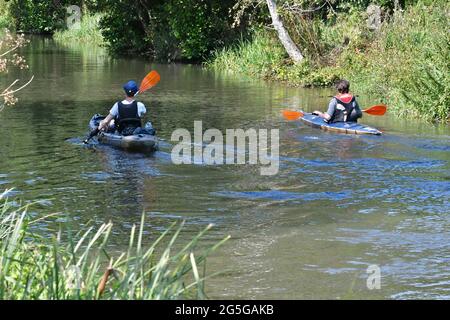 Zwei Freunde, die an einem schönen sonnigen Tag den Fluss Wey in Guildford mit dem Kajak fahren Stockfoto