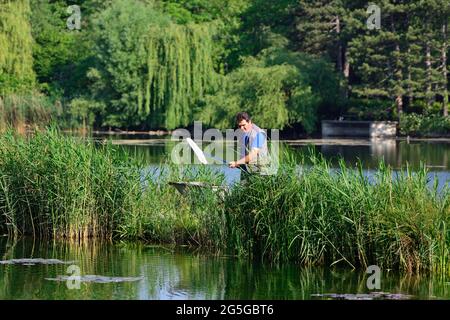 Wien, Österreich. Der Gärtner reinigt das Wasser im Wasserpark floridsdorf Stockfoto