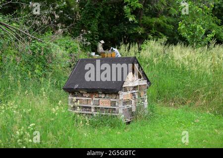 Wien, Österreich. Insektenhaus am zentralen Friedhof in Wien. Imker im Hintergrund. Stockfoto