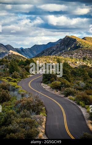 Die Chiricahua Mountains im Süden Arizonas. Sehr dramatische Landschaft. Wandern und Camping. Stockfoto