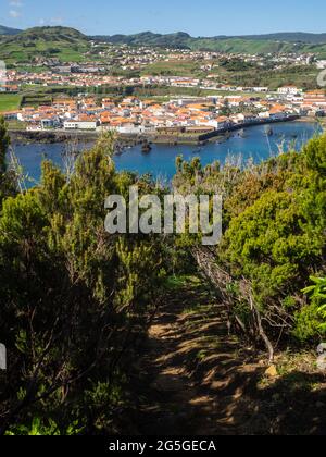 PRC08 FAI-Wanderweg in Monte da Guia, Horta Stockfoto