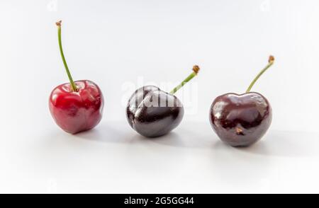 Kirschen in verschiedenen Reifungsstufen isoliert mit weißem Hintergrund. Stockfoto