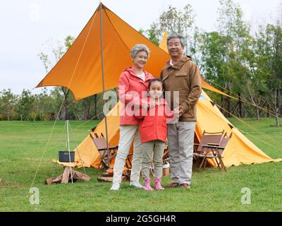 Glückliche Großeltern und Enkelkinder machen ein Gruppenfoto im Freien mit hoher Qualität Stockfoto