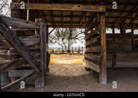 Die Türen und Fenster des Südwestens der USA Stockfoto