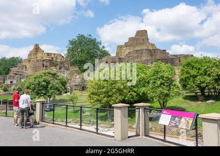 Outback Enclosure, ZSL London Zoo, Regent's Park, City of Westminster, Greater London, England, Vereinigtes Königreich Stockfoto