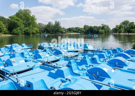 Bootstouren auf Regent's Park Lake, Regent's Park, City of Westminster, Greater London, England, Vereinigtes Königreich Stockfoto