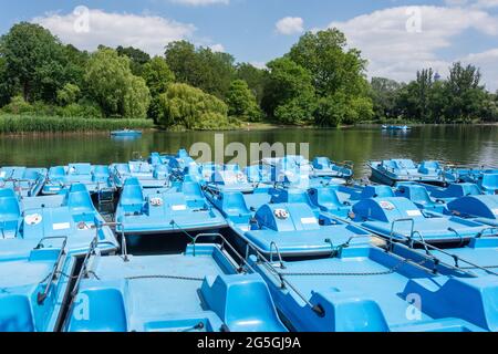 Bootstouren auf Regent's Park Lake, Regent's Park, City of Westminster, Greater London, England, Vereinigtes Königreich Stockfoto