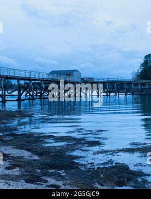 Der hölzerne Gehweg über Gilpatrick Cove in Northeast Harbor, Maine, bei Dämmerung, mit dem Shack am Eingang zum Floating Dock auf halber Strecke gegenüber Stockfoto