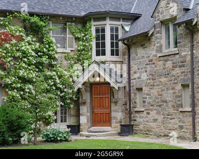 Altes Haus mit rauen Steinen gebaut, teilweise mit Weinreben mit weißen Blumen bedeckt Stockfoto
