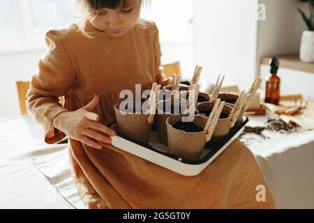 6 Jahre altes Mädchen, das zuhause Kräuter pflanzt Stockfoto