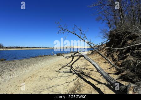 Pirates Cove Belle Terre Long Island New York Stockfoto