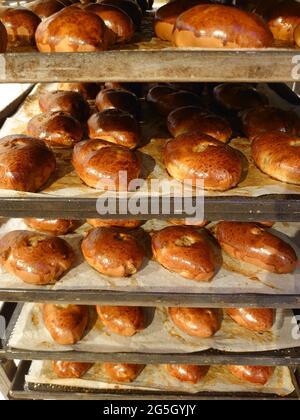 Nahaufnahme von vielen heißen leckeren Kuchen in den Regalen in Bäckerei, Laden. Herstellung von Backwaren. Regal mit heißem Gebäck. Bäckerei, Herstellung von Torten Stockfoto