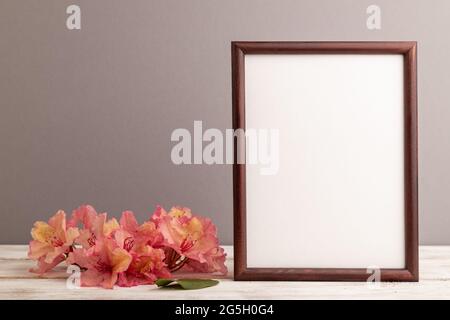 Holzrahmen mit rosa Azaleen-Blumen auf grauem pastellfarbenem Hintergrund. Seitenansicht, Kopierraum, Modell, Vorlage, Frühling, Sommer-Minimalismus-Konzept. Stockfoto