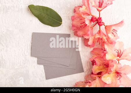 Graue Visitenkarte mit rosa Azaleen-Blüten auf grauem Betongrund. Draufsicht, flaches Lay, Kopierraum, Mockup, Vorlage, Frühling, Sommer Minimalismus c Stockfoto