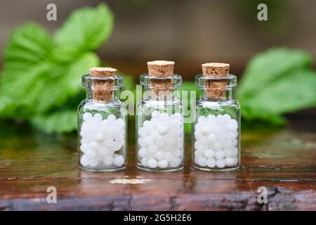 Drei Flaschen Homöopathie-Kügelchen. Flaschen mit homöopathischem Granulat. Heilkräuter auf dem Hintergrund. Konzept der Homöopathie. Stockfoto