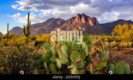 Superstition Mountains, Arizona, USA Stockfoto