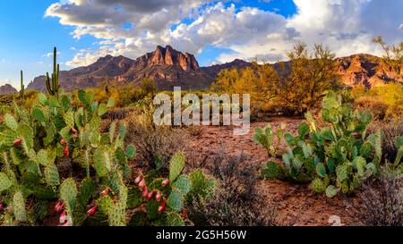 Superstition Mountains, Arizona, USA Stockfoto