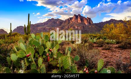 Superstition Mountains, Arizona, USA Stockfoto