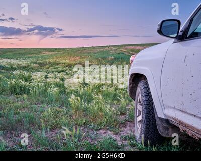 Schlammiges SUV-Auto oder LKW fährt in der Dämmerung durch eine grüne Prärie - Pawnee National Grassland im Norden Colorados, Frühsommerlandschaft mit Wildblumen Stockfoto