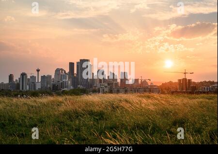 An einem warmen Sommertag geht die goldene Sonne über Calgary, Alberta, Kanada, unter. Stockfoto