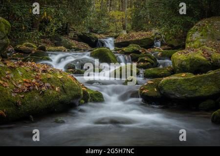 Niedriger Wasserwinkel, der um Mossy Boulders im Great Smoky Mountains National Park herum rauscht Stockfoto