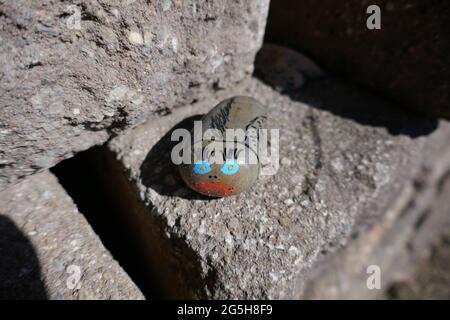 Freundlichkeit Rock mit lustigen Fisch bemalt versteckt Stockfoto