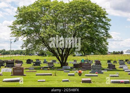 Ein Baum, der auf dem Yaggy-Friedhof in der Nähe von Grabill, Indiana, USA, wächst. Stockfoto