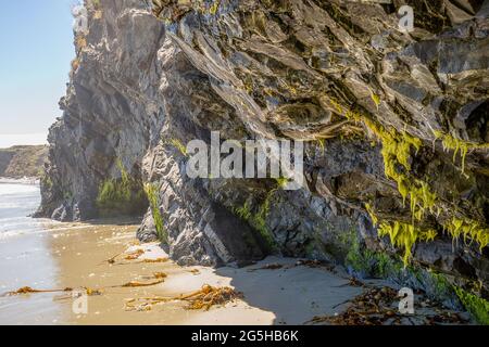 Malerische Küstenlandschaft und Felsformationen am Portuguese Beach im Mendocino Headlands State Park, Kalifornien Stockfoto