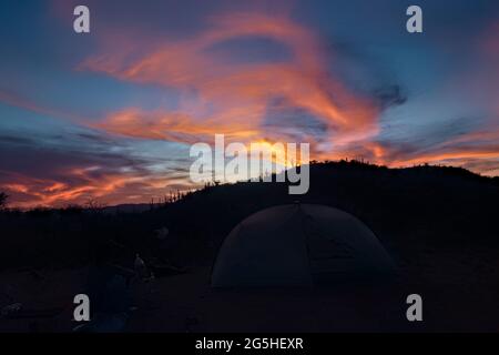 Wunderschöner sonnenuntergang in saguaro auf dem Arizona Trail, Arizona, USA Stockfoto