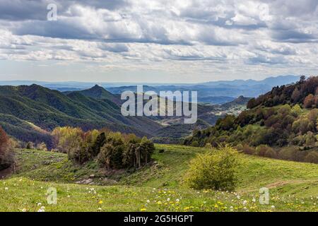 Berglandschaft bei bewölktem Wetter. Die Bäume wechseln im Frühjahr ihre Farbe. Wald und grüne Wiese im Vordergrund. Katalonien, Spanien Stockfoto