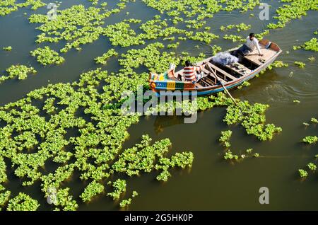Verschmutzung der Wasseroberfläche der Erde, grüne Algen allmählich decken die Oberfläche des blühenden Wassers auf dem Fluss. Stockfoto