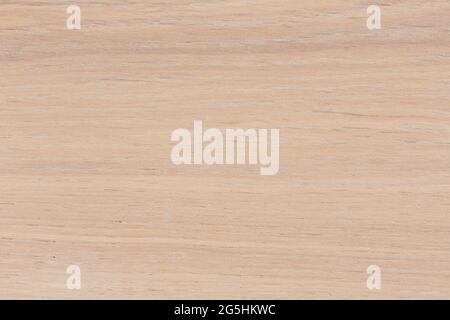Holzwerkstoff Oberfläche Hintergrund. Eiche, natürliche leichte Textur. Stockfoto