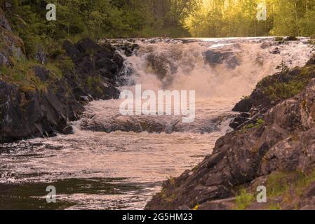 Die obere Schwelle der Kivach Falls ist an einem sonnigen Juniabend aus der Nähe. Karelien, Russland Stockfoto