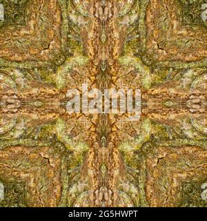 Kaleidoskop der Baumrinde Stockfoto