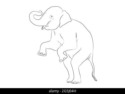 Weißes Bild Umriss Elefant Asien stehend, Grafik Design Vektor Umriss Illustration isoliert auf weißem Hintergrund Stock Vektor