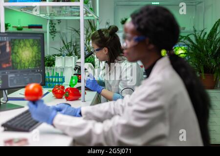 Gesundheitschemiker prüft Probe von veganem Fleisch, indem er nach einem chemischen Experiment durch das Mikroskop schaut. Wissenschaftler, die im Biologielabor an pflanzengeschlasertem Rindfleischersatz arbeiten. Stockfoto