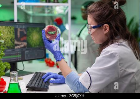 Chemikerin analysiert veganes Rindfleisch für biochemische Experimente. Biologe Forscher untersuchen Lebensmittel genetisch verändert mit chemischen Substanz Typisierung biologischen Know-how auf dem Computer. Stockfoto