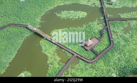 Binzhou, Binzhou, China. Juni 2021. Am 27. Juni 2021 befinden sich Luftaufnahmen am malerischen Ort des Lotusteisches von Shili in der Stadt Binzhou, Provinz Shandong. Mehr als zehn Hektar Lotus sind in voller Blüte. Vor dem Hintergrund der Lotusblätter bilden die unendlichen grünen Lotusblätter einen einzigartigen Sommerstil. Quelle: SIPA Asia/ZUMA Wire/Alamy Live News Stockfoto