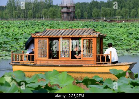 Binzhou, Binzhou, China. Juni 2021. Am 27. Juni 2021 befinden sich Luftaufnahmen am malerischen Ort des Lotusteisches von Shili in der Stadt Binzhou, Provinz Shandong. Mehr als zehn Hektar Lotus sind in voller Blüte. Vor dem Hintergrund der Lotusblätter bilden die unendlichen grünen Lotusblätter einen einzigartigen Sommerstil. Quelle: SIPA Asia/ZUMA Wire/Alamy Live News Stockfoto