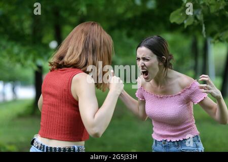 Zwei wütende Frauen streiten in einem Park aggressiv Stockfoto