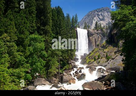 Frühlingstürze im yosemite Nationalpark Stockfoto