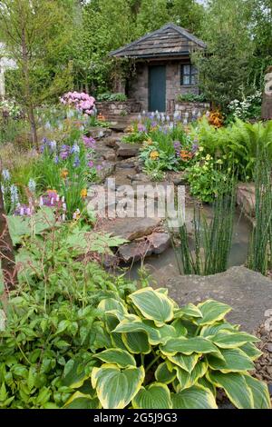 Der HESCO-Garten mit einem Steinhaus in einem bewaldeten felsigen Felsen mit Landschaftsgestaltung entworfen, um Wasser in einen Teich von Irises, Hostas, Primula Beesiana, Geranien, Geums und Aquilegia umgeben zu leiten. Stockfoto