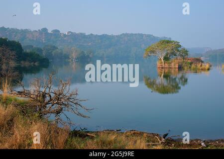 Heiterer Morgen auf dem See Padma Talao. Ranthambore National Park, Rajasthan, Indien Stockfoto