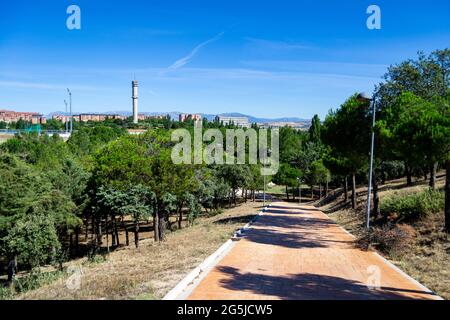 Park voller grüner Bäume wie Kiefern neben einem Pfad an einem völlig klaren Tag und dem blauen Himmel in Madrid, Spanien. Europa. Horizontale Fotografie. Stockfoto