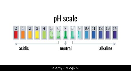 PH-Skala-Diagrammmessgerät für saure und alkalische Lösungen isoliert auf weißem Hintergrund. Stock Vektor