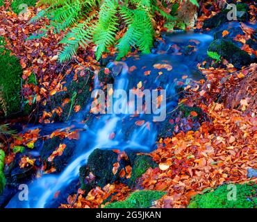 Kaskadierwasser, moosbedeckte Felsen, Stockfoto