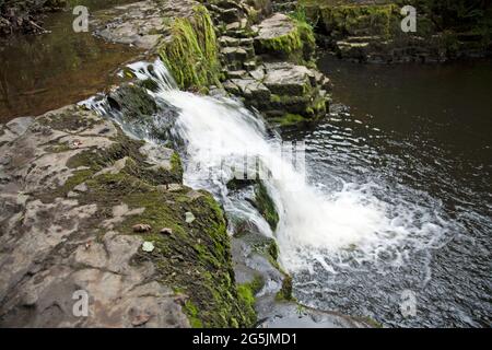 Wasser fließt über einen kleinen Wasserfall in Neath, Wales. Aufgenommen mit einer langsameren Belichtung, um die Bewegung des Wassers einzufangen. Stockfoto