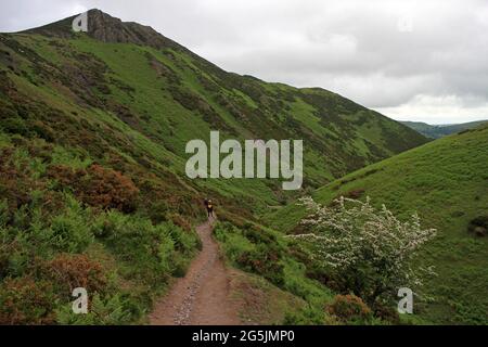 Pärchen, die von Rectory Wood auf den Long Mynd, Church Stretton, wandern Stockfoto