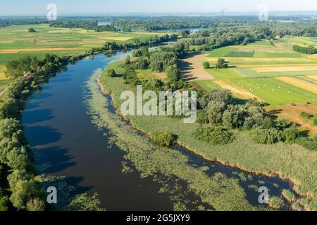 Luftbild des Ochsebow Sees des Flusses Drava, Kroatien Stockfoto