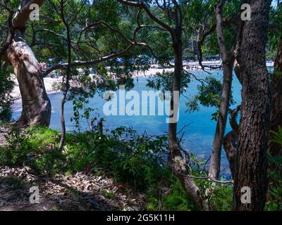 Blick auf den Hafen von Sydney und CDB an einem schönen sonnigen blauen Himmel klares blaues Wasser Boote Yachten und Fähren Wohn- und Geschäftsgebäude Australien Stockfoto